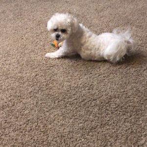 Meet your Posher, Kerri